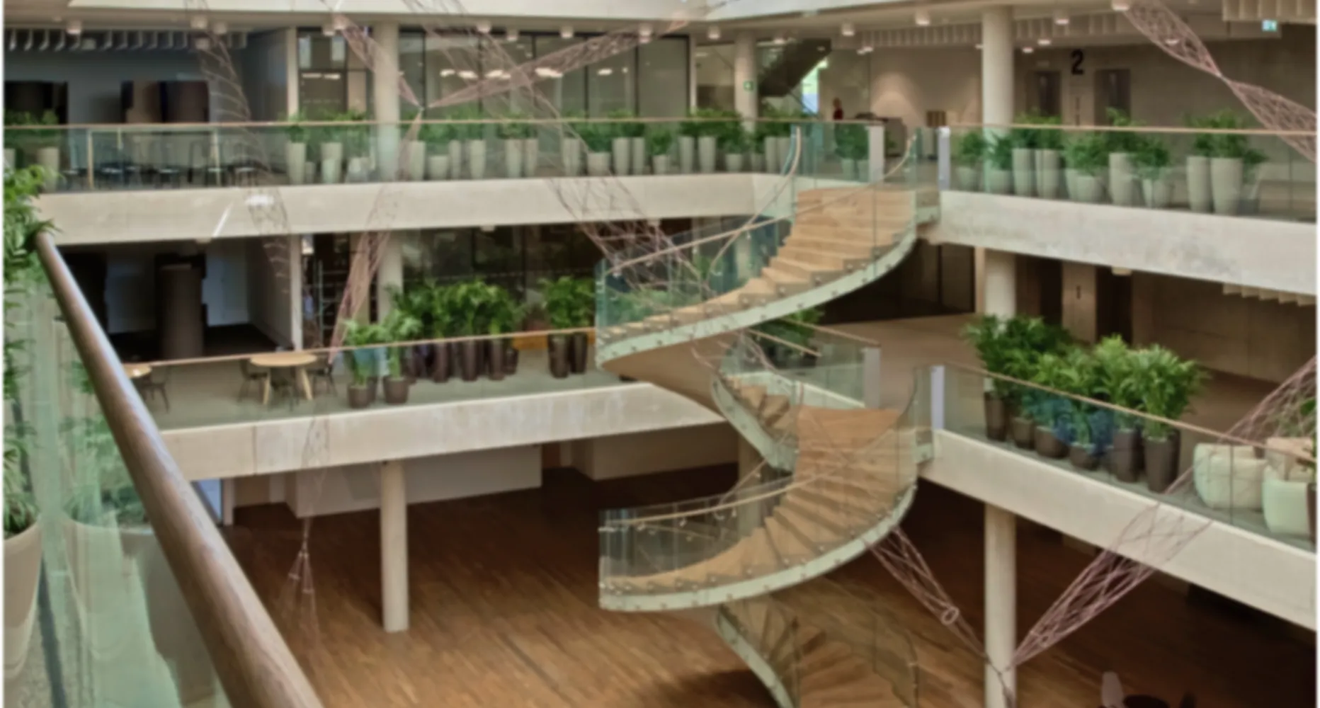 Patria Naše hodnoty bg