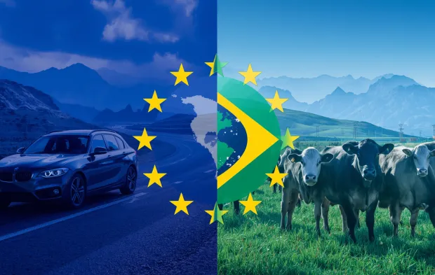 beef for cars